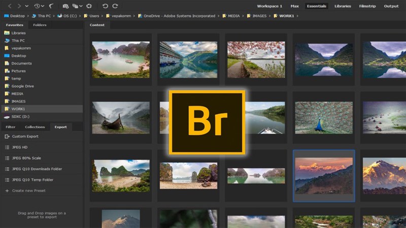 Adobe Bridge là gì? Adobe Bridge là gì?